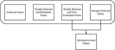 Machine Learning Based Computational Gene Selection Models: A Survey, Performance Evaluation, Open Issues, and Future Research Directions